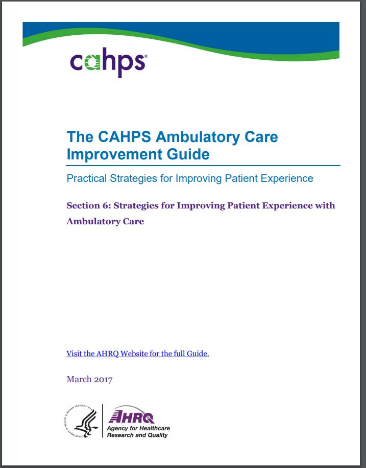 cover of Section 6: Strategies for Improving Patient Experience With Ambulatory Care
