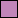 Map color: Lilac (Florida and partner states)