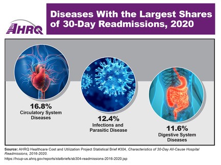 Diseases with the Largest Shares of 30-day Readmission, 2020: Circulatory System Diseases, 16.8%; Infections and Parasitic Diseases, 12.4%; Digestive System Diseases, 11.6%.