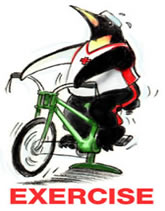 Image of a penguin riding an exercise bicycle.