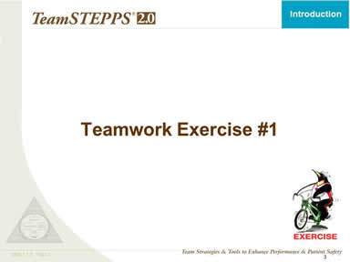 Teamwork Exercise #1