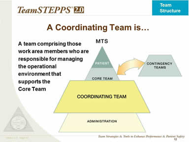 A Coordinating Team is…