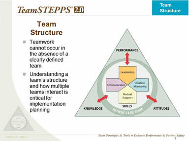 Team Structure 
