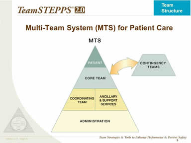 Multi-Team System (MTS) for Patient Care