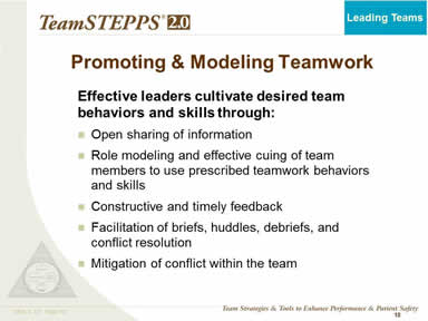 Promoting & Modeling Teamwork