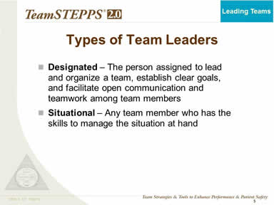 Types of Team Leaders