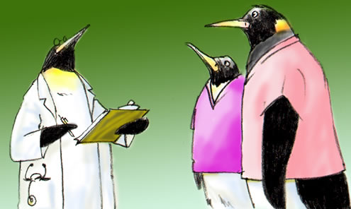Penguin doctor with clipboard in conversation with two penguins wearing scrub tops.