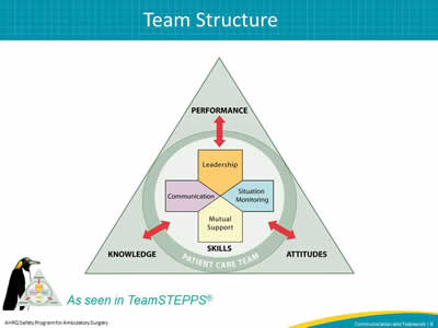 The Team Structure slide includes the TeamSTEPS triangle logo which explains how Performance, Attitudes, and Knowledge all affect the patient care team.