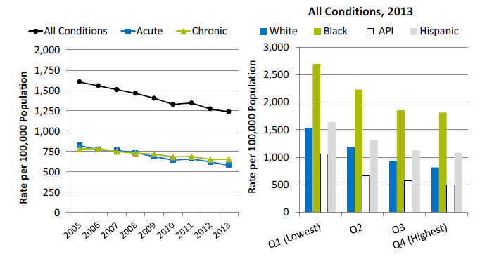 Charts show potentially avoidable adult hospitalizations, by type of condition. Text description is below the image.