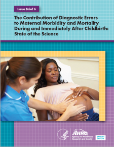 Cover of The Contribution of Diagnostic Errors to Maternal Morbidity and Mortality During and Immediately After Childbirth