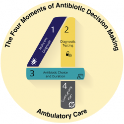 The Four Moments of Antibiotic Decision Making