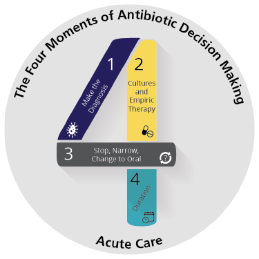 The Four Momemts of Antibiotic Decision Making Logo