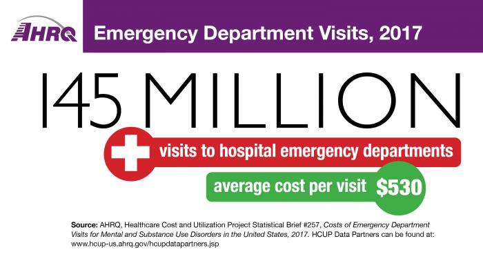 Emergency Department Visits, 2017: 145 Million visits to hospital emergency departments; Average cost per Visit: $530.
