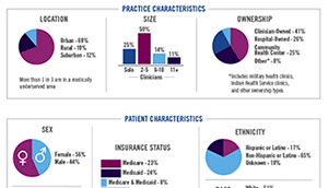 A Snapshot of Participating Primary Care Practices