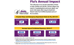 Link to infographic: Flu's Annual Impact
