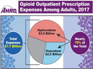 Opioid Outpatient Prescriptions Expenses Among Adults, 2017