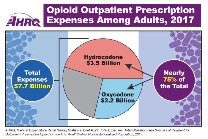 Opioid Outpatient Prescriptions Expenses Among Adults, 2017: Total Expenses, $7.7 Billion; Hydrocodone, $3.5 Billion; Oxycodone, $2.2 Billion. Hydrocodone, oxycodone account for more than 75 percent of the total.