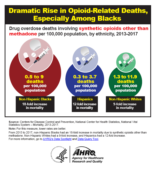 Graphic showing Dramatic Rise in Opoid-Related Deaths, Especially Among Blacks
Drug overdose deaths involving synthetic opioids other than methadone per 100,000 population, by ethnicity, 2013-2017: Non-Hispanic Blacks, 0.5 to 9 deaths per 100,000 population, an 18-fold increase; Hispanics, 0.3 to 3.7 deaths per 100,000 population, a 12-fold increase; Non-Hispanic Whites, 1.3 to 11.9 deaths per 100,000 population, a 9-fold increase. Note: For this measure, lower rates are better.From 2013 to 2017, non-Hispanic Blacks had an 18-fold increase in mortality due to synthetic opioids other than methadone. Non-Hispanic Whites had a 9-fold increase, and Hispanics had a 12-fold increase.
