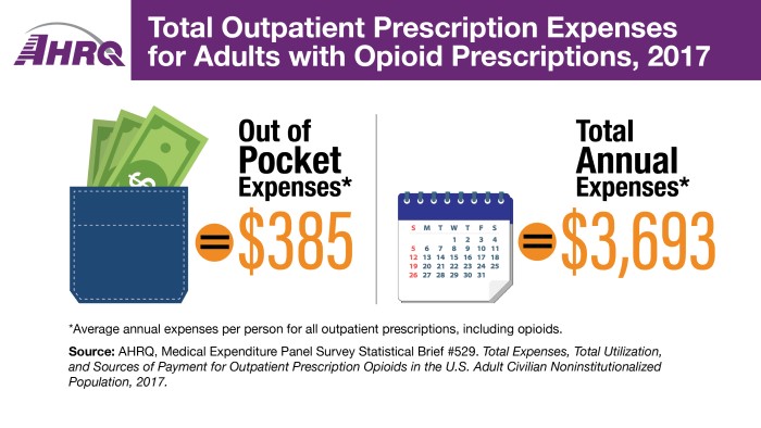 Total Outpatient Prescriptions Expenses for Adults with Opioid Prescriptions, 2017: Out of Pocket Expenses* = $385. Total Annual Expenses* = $3,693. *Average annual expenses per person for all outpatient prescriptions, including opioids.