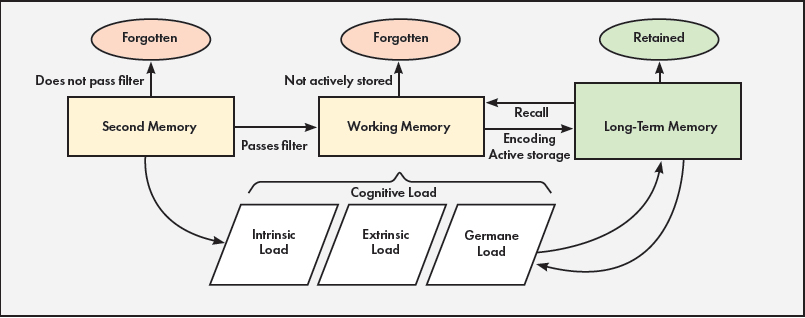 Figure 1 shows the interplay between types of memory and cognitive load. A flow chart begins with Sensory Memory; if it does not pass filter, it is Forgotten; if it passes filter, it becomes Working Memory. If Working Memory is not actively stored, it is Forgotten; if it is encoded as active storage, it becomes Long-Term Memory and can be Retained and Recalled to Working Memory. Long-Term Memory interacts with the Cognitive Load, which consists of Intrinsic Load, Extrinsic Load, and Germane Load. Cognitive Load can be accessed into Working Memory. Sensory Memory can also enter Intrinsic Load.