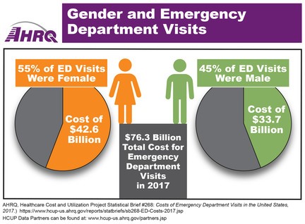 Gender and Emergency Department Visits: 55% of ED Visits were Female; Cost of $42.6 Billion. 45% of ED Visits were Male; Cost of $33.7 Billion. $76.3 Billion Total Costs for Emergency Department Visits in 2017.