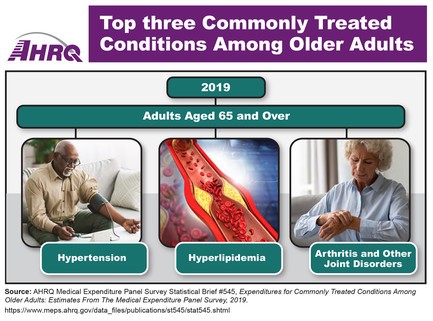 Top three Commonly Treated Conditions Among Older Adults, 2019 (Adults Aged 65 and Over): Hypertension, Hyperlipidemia, Arthritis and Other Joint Disorders.