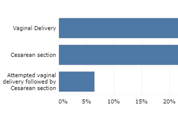 Snapshot of a chart from the Perinatal Dashboard
