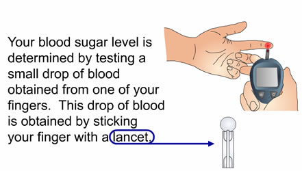 Drawing of hand holding blood sugar meter, along with written instructions on how to use it.