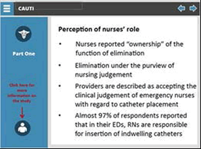 Perception of nurses' role. Bulleted list: Nurses reported "ownership" of the function of elimination, elimination under the purview of nursing judgment, providers are described as accepting the clinical judgment of emergency nurses with regard to catheter placement, almost 97 percent of respondents reported that in their EDs, RNs are responsible for insertion of indwelling catheters