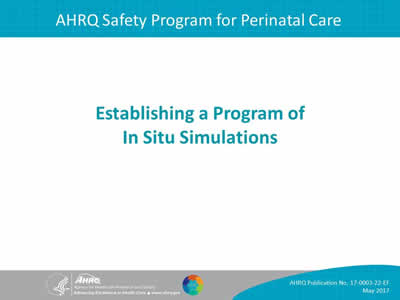 Establishing a Program of In Situ Simulations