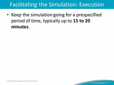 Facilitating the Simulation: Execution