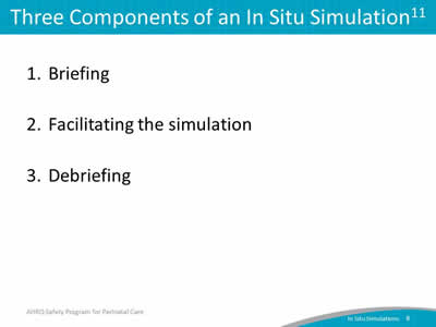 Three Components of an In Situ Simulation