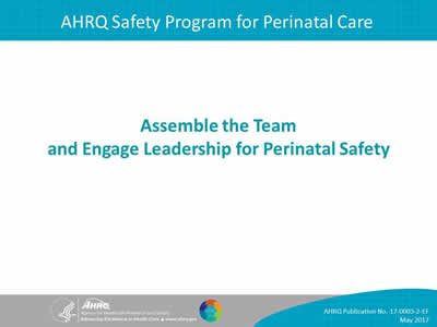 Assemble the Team and Engage Leadership for Perinatal Safety