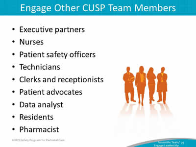 Executive partners. Nurses. Patient safety officers. Technicians. Clerks and receptionists. Patient advocates. Data analyst. Residents. Pharmacist.