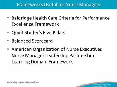 Baldridge Health Care Criteria for Performance Excellence Framework. Quint Studer's Five Pillars. Balanced Scorecard. American Organization of Nurse Executives Nurse Manager Leadership Partnership Learning Domain Framework.
