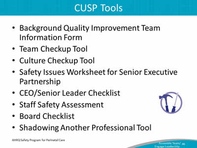 Background Quality Improvement Team Information Form. Team Checkup Tool. Culture Checkup Tool. Safety Issues Worksheet for Senior Executive Partnership. CEO/Senior Leader Checklist. Staff Safety Assessment. Board Checklist. Shadowing Another Professional Tool.