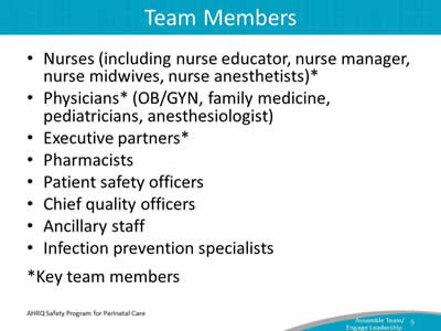 Nurses (including nurse educator, nurse manager, nurse midwives, nurse anesthetists).* Physicians* (OB/GYN, family medicine, pediatricians, anesthesiologist). Executive partners.* Pharmacists. Patient safety officers. Chief quality officers. Ancillary staff. Infection prevention specialists.