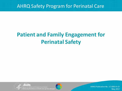 Patient and Family Engagement for Perinatal Safety