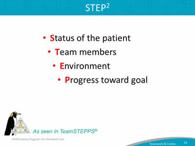 Status of the patient. Team members. Environment. Progress toward goal
