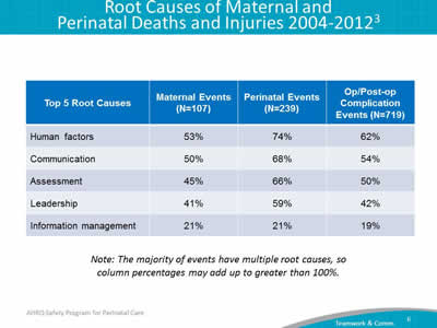 Root Causes of Maternal and Perinatal Deaths and Injuries 2004-2012