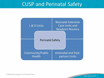 Image: Slide 2 shows a chart with "Perinatal Safety" at the center. There are four sections of the chart surrounding "Perinatal Safety." They are: "L & D Units," "Neonatal Intensive Care Units and Newborn Nursery," "Community/Public Health," and "Antenatal and Postpartum Units." See narrative portion at left for the detailed explanation.