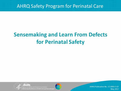 Sensemaking and Learn From Defects for Perinatal Safety