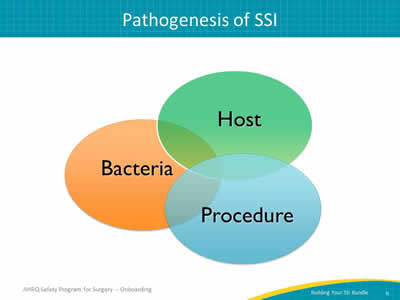 Pathogenesis of SSI