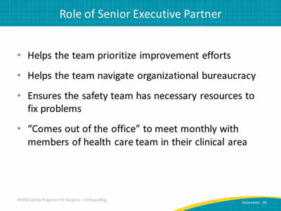 Role of Senior Executive Partner