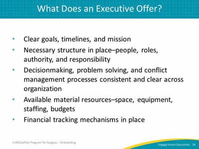 What Does an Executive Offer?