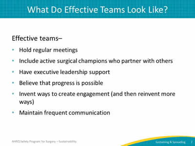 What Do Effective Teams Look Like?