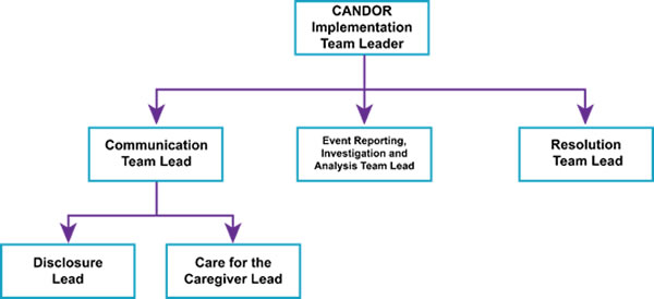 Figure 3 depicts team structure: The CANDOR Implementation Team Leader is at the top of the organization chart with Communication Team Lead, Event Reporting, Investigation, and Analyses Team Lead, and Resolution Team Lead beneath. Under Communication Team Lead are Disclosure Lead and Care for the Caregiver Lead.