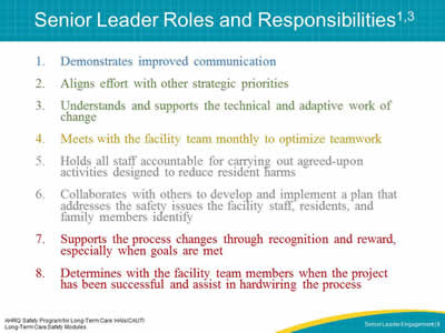 Senior Leader Roles and Responsibilities