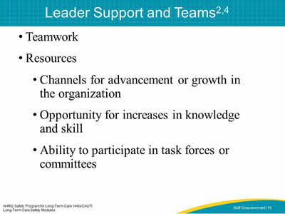 Leader Support and Teams
