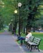 Photograph of a person seated on a park bench and reading.